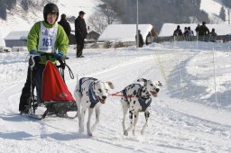 Lenk 2012 SM